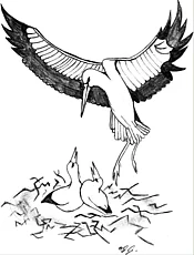 Logo - zur Startseite